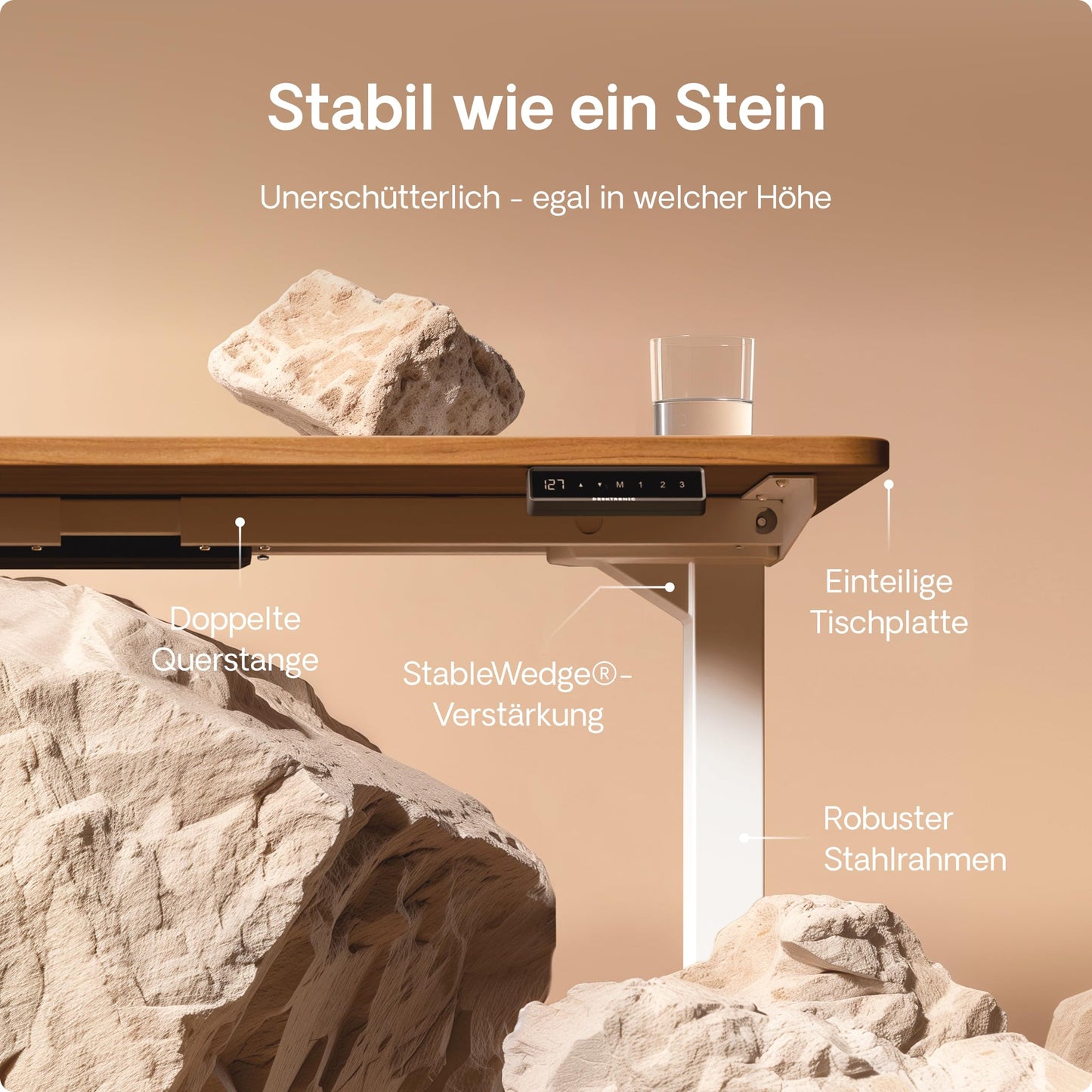 Desktronic HomePro Height Adjustable Desk 160 × 80 cm - Electric Desk with Two Electric Motors, Touchscreen Control, and Integrated USB-A and USB-C Charging Ports