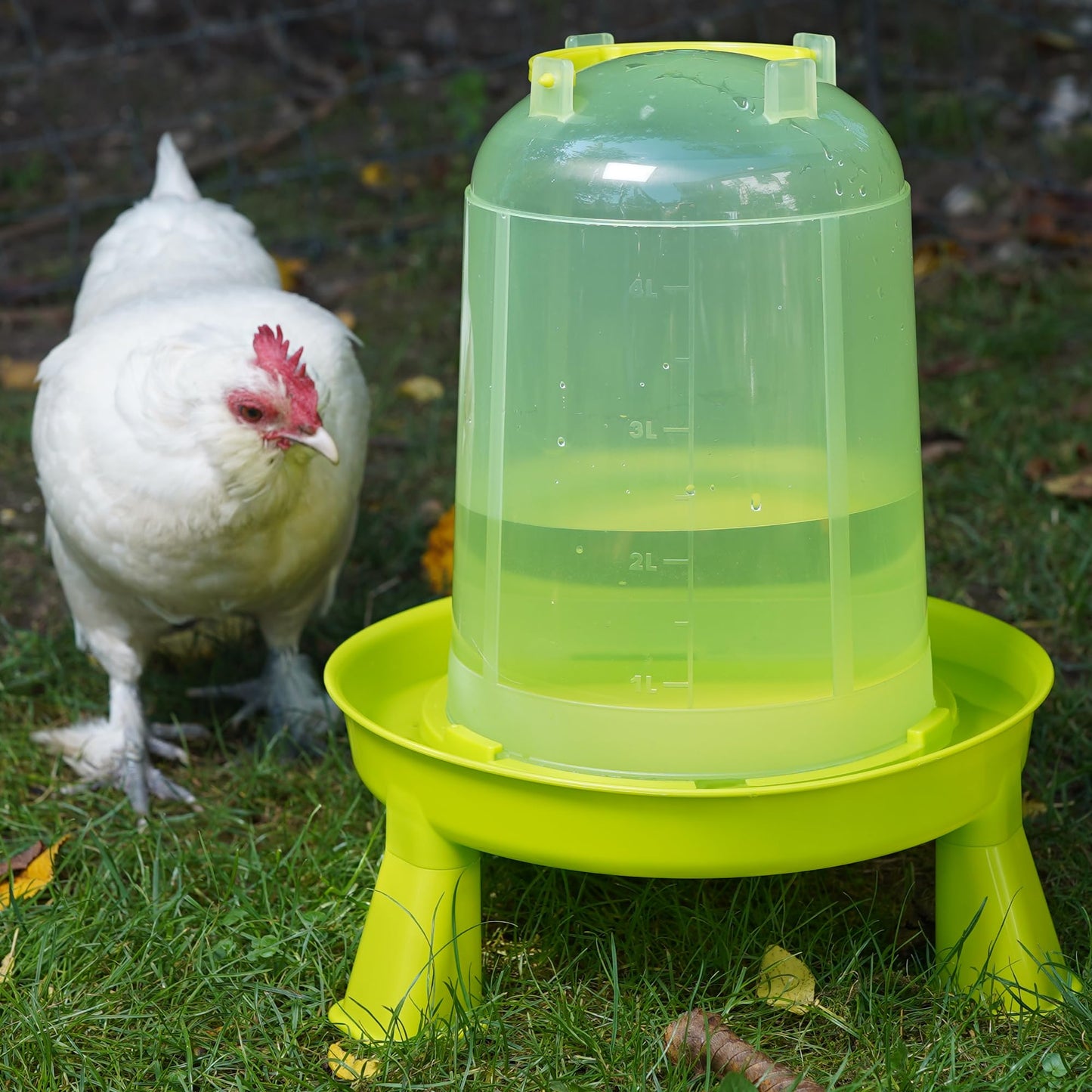 8 liter poultry drinker green with feet and 4 kg poultry feeder green with feet for chickens, chicken feed trough, chicken feed dispenser, chicken feed automatic, chicken feeder, chicken feed dispenser