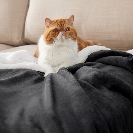 BEDSURE Sherpa Fleece Blanket - Warm Plush Sofa Throw Blanket, Thick Couch Blanket, Fleece Living Room Blanket for Couch, Charcoal Gray, 90x106 inches