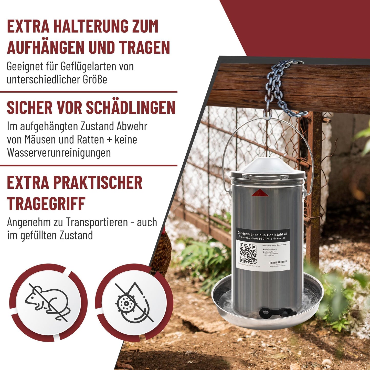 Chicken waterer 4 liters stainless steel: Poultry drinker metal easy cleaning | Heated chicken drinker compatible with candles + drink warmer for chickens.