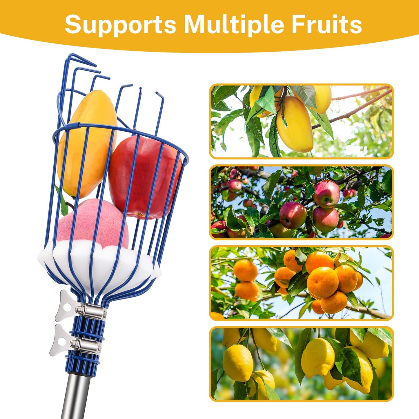 MaidMAX fruit picker with telescopic stainless steel handle 4 meters, apple picker with joint and foam pad, gripper with basket for fruit apple orange, light stable and space-saving.