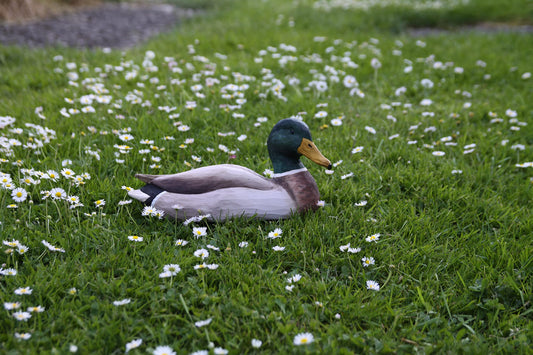 WILDLIFEGARDEN Wildlife Garden WG457 DecoBird Mallard, male - Hand-carved decorative wooden bird - Large European birds