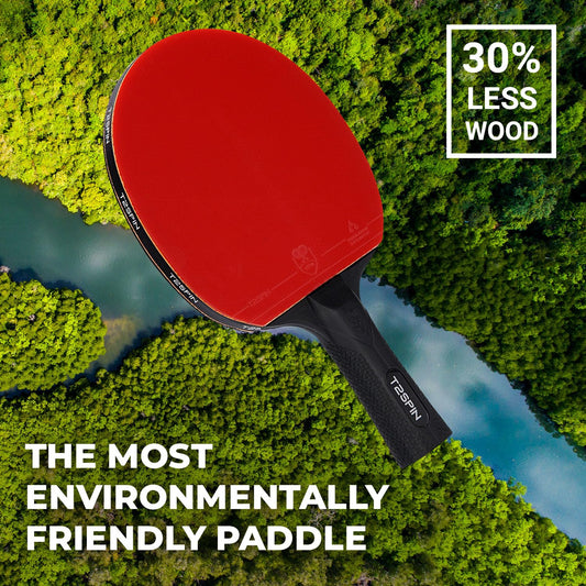 Ping Pong Paddle 2-pack with 3 balls