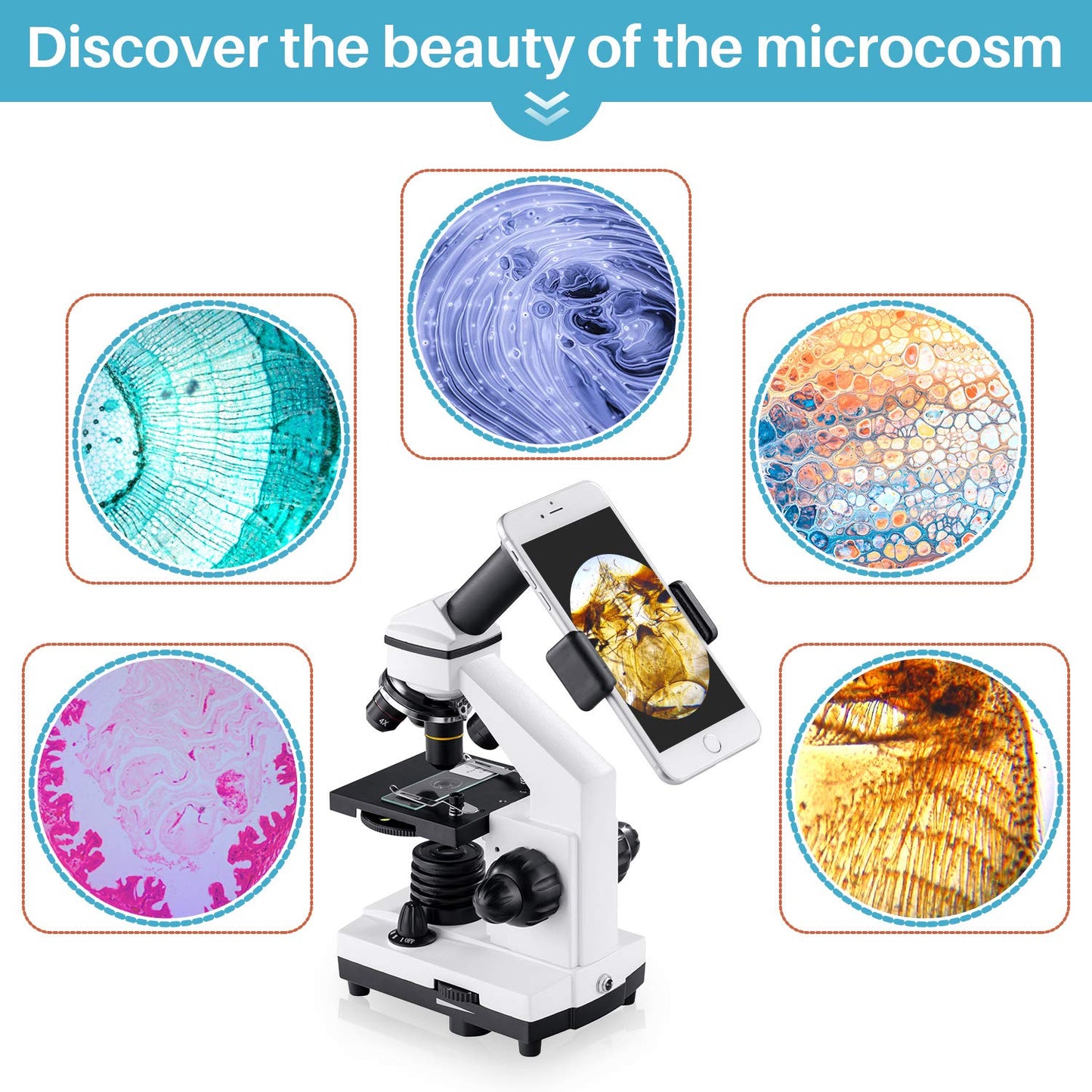 BEBANG 100X-2000X Microscope for Kids Adults, Professional Biological Microscopes for Students School Lab Home