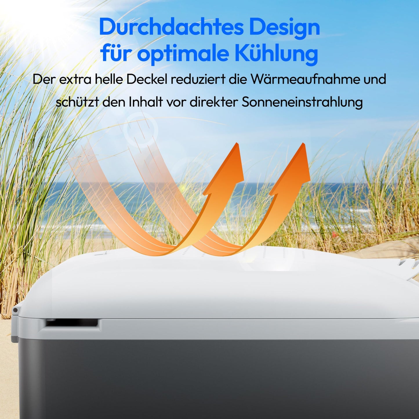 MEDION Coolbox 2in1 Cooling and Heating (16 liters, mobile electric car coolbox, thermoelectric, mini fridge, 2in1 connection 230V & 12V, carrying strap, for holidays, camping and travel, MD13100)