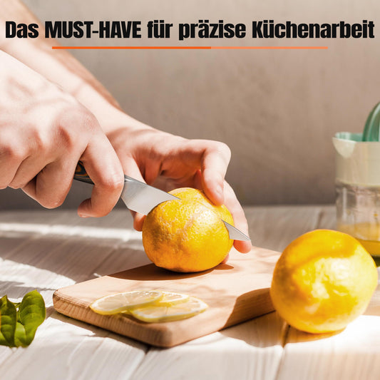 10cm vegetable knife, sharp paring knife, small kitchen knife made of high carbon German stainless steel, rust-resistant kitchen utensil, luxurious gift box included - Fiery Phoenix series