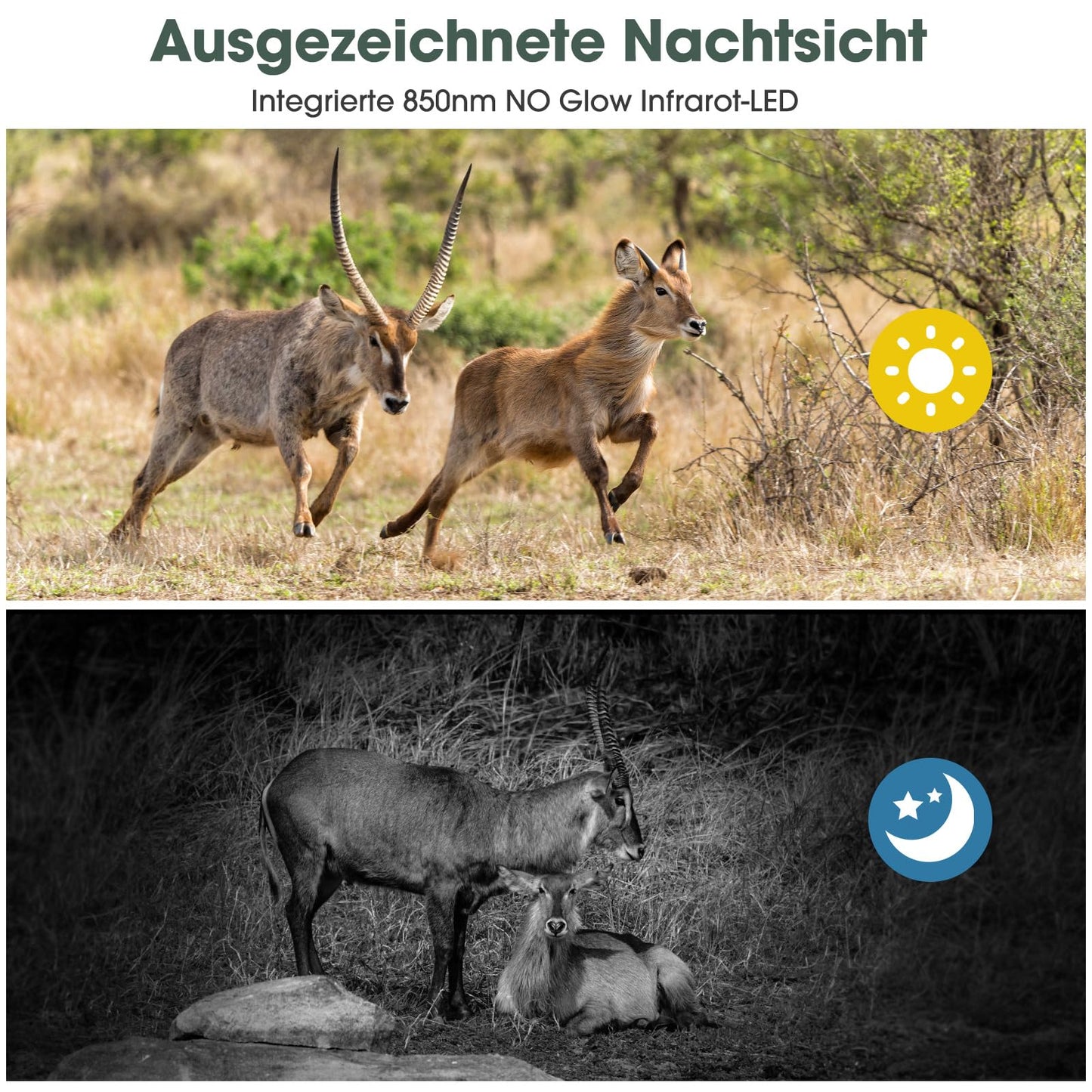 Nigecue 4K 40MP wildlife camera with motion sensor night vision, 32GB memory card, 0.2s trigger speed, IP66 waterproof 120° wide angle for wildlife monitoring.