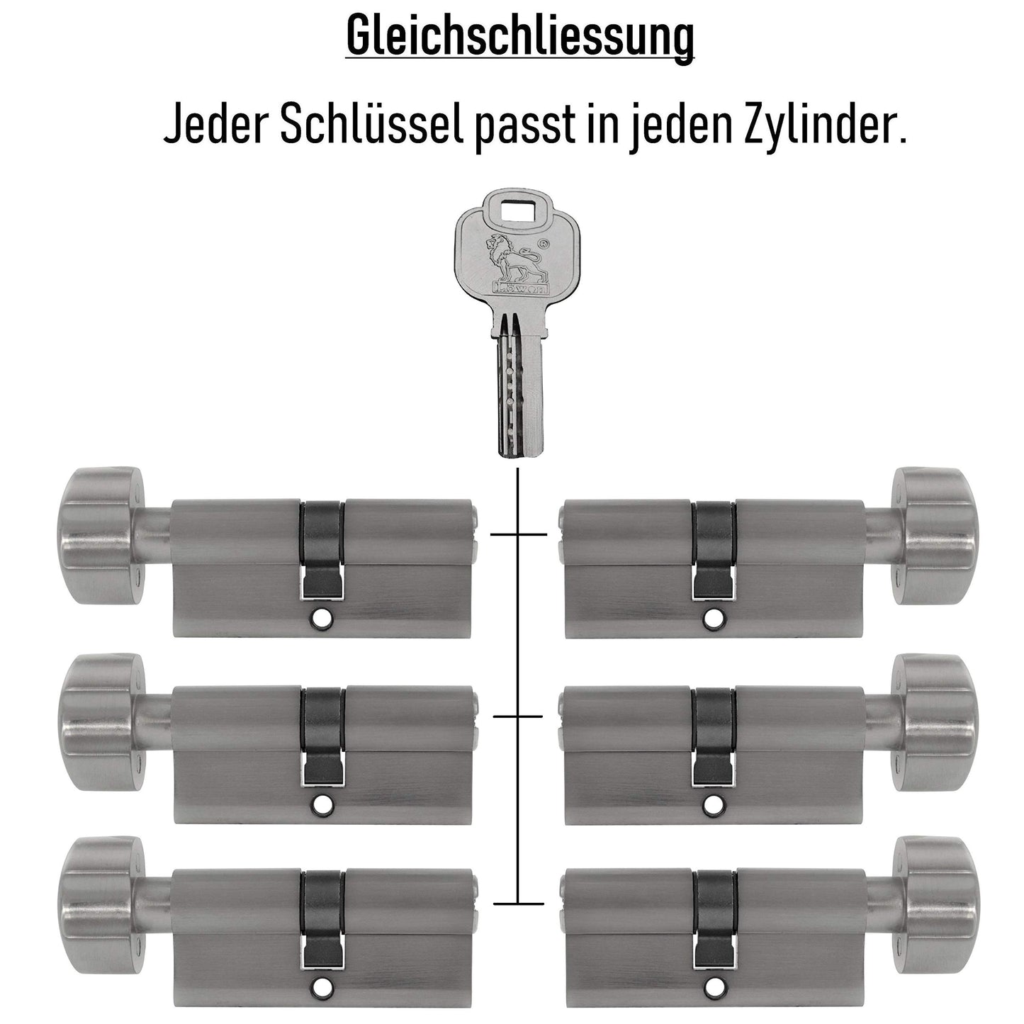 6x Cylinder lock with knob 60 mm 30/30 KD keyed alike including 20 keys