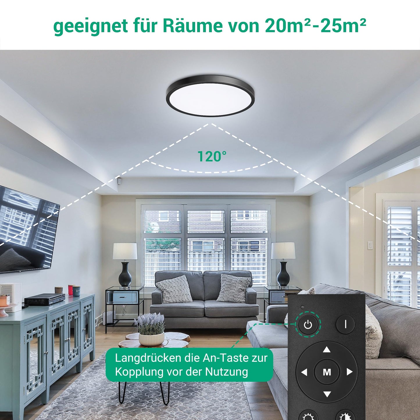 EDISHINE LED Ceiling Light Dimmable 28W, 2520lm Black Flush Mount Ceiling Lamp with Remote Control, 3000K/4000K/6000K, Modern Simple Thin Kitchen Light for Bathroom/Bedroom/Basement/Balcony Ø30cm