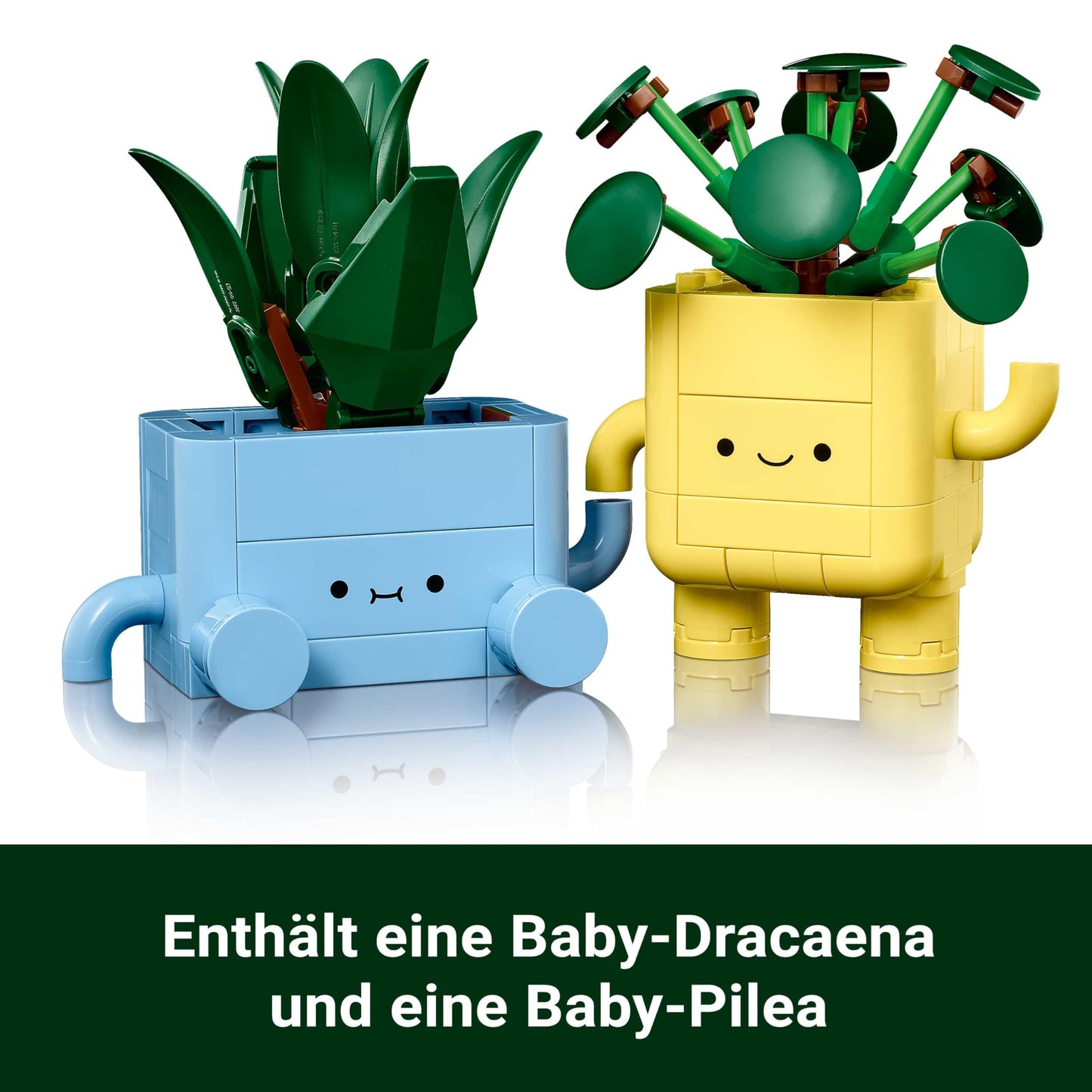 LEGO Botanicals Happy Plants - Toy for kids with 2 artificial plants, 2 colorful flower pots & interchangeable cartoon faces - Gift for girls and teenagers aged 9 and up - 10349