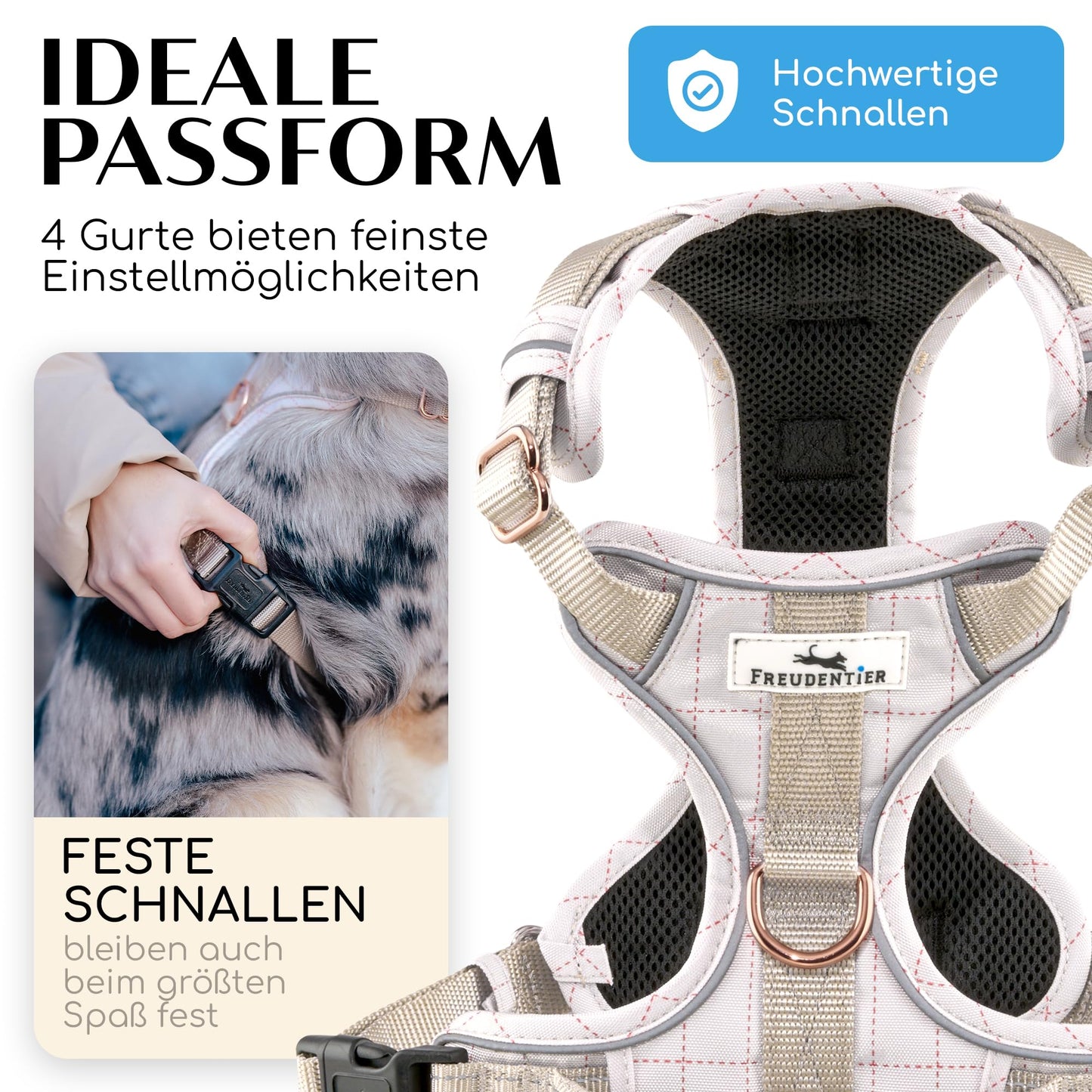 Joyful Pet Dog Harness with Handle, Breathable Padded - Secure Fit & Maximum Safety - Anti-Pull Chest Harness Small, Medium & Large Dogs - Small Dog Harness (S)