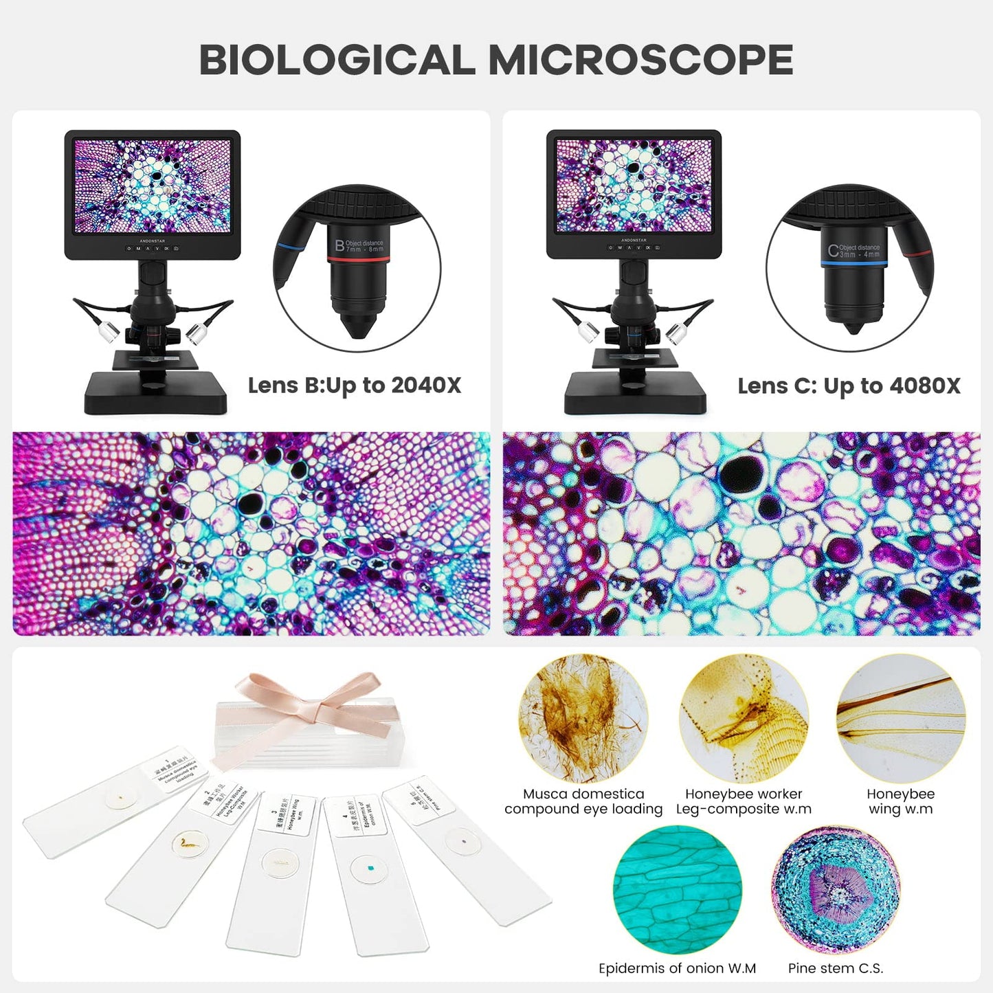 Andonstar AD249S-P 10.1 inch HDMI Digital Microscope, 4000 x 3 lens 2160P UHD video recording, biological microscope kit for adults, coin microscope for error coins