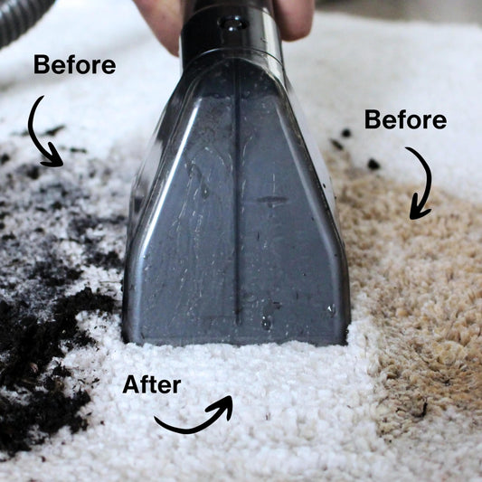 Achaté Carpet Cleaner - Stain Remover for Carpet, Sofa, rugs, upholstery, stairs, car - Powerful carpet cleaner - upholstery cleaner device 650W, 1.4L, Gray/Blue