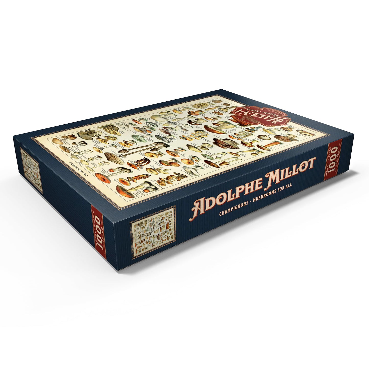 MyPuzzle Mushrooms - Vintage Art Poster, Adolphe Millot - Premium 1000 Piece Puzzle - MyPuzzle Special Collection by Havana Puzzle Company.