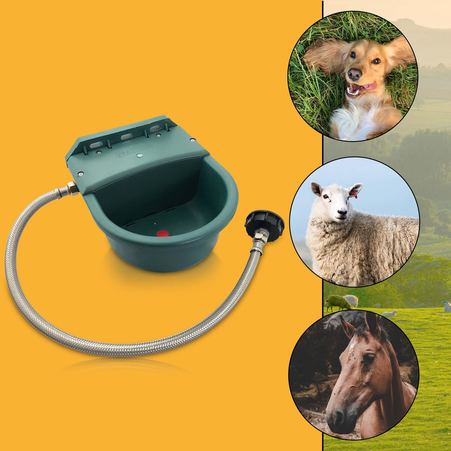 Plastic water trough with IBC container connection set | 4 liters | Ideal for horses, cattle, sheep, and dogs | Float drinker with brackets trough ball