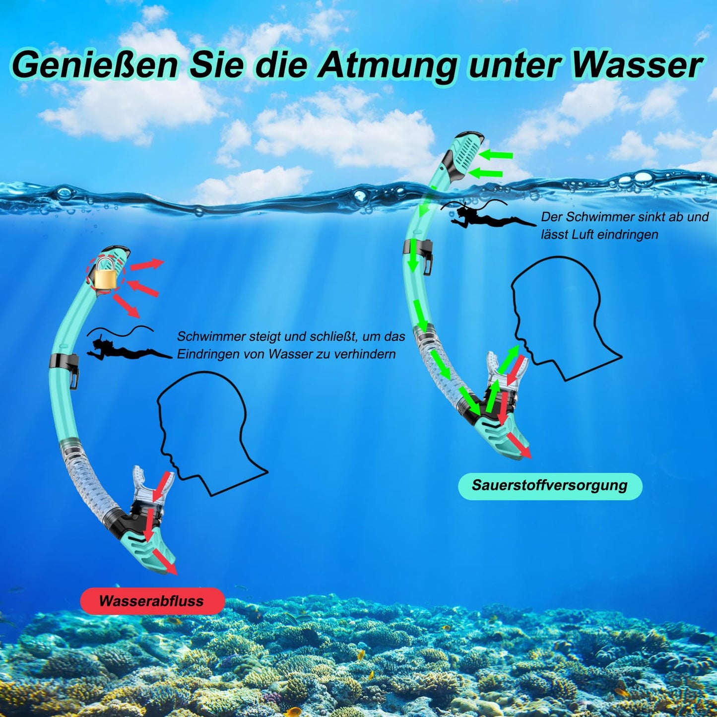 Adult Snorkeling Set, snorkel set with diving mask and dry snorkel, waterproof anti-fog/anti-leak snorkel mask made of tempered glass for snorkeling, swimming, and diving.