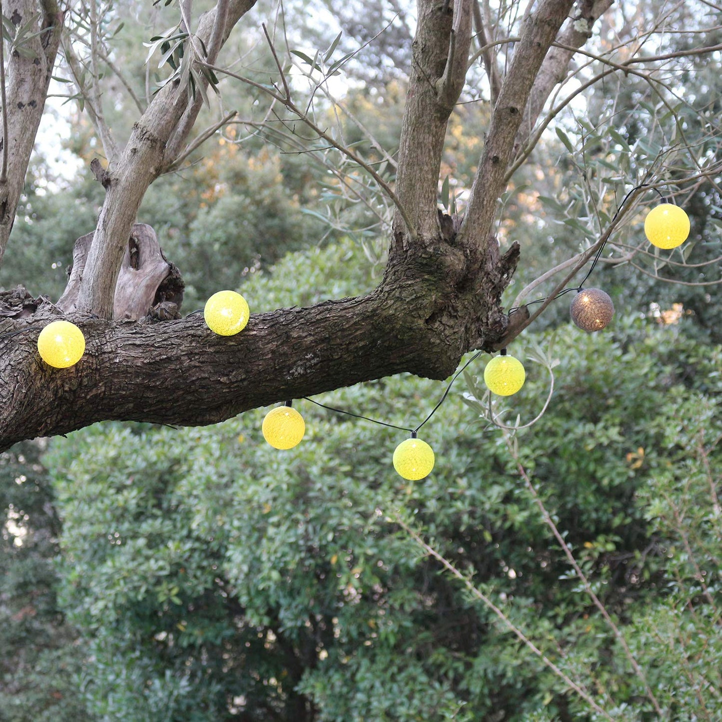 GuirLED - Outdoor garland with LED light balls Guinguette - Waterproof IP65 - High efficiency solar panel - Automatic ON/OFF - 16 balls 3m - Forest