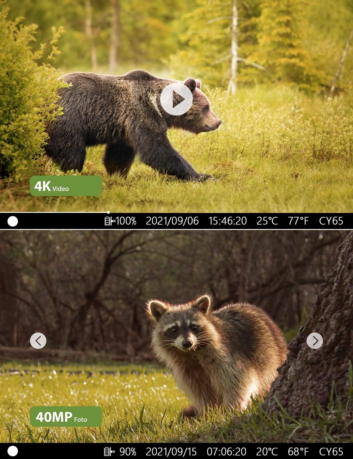 CEYOMUR Trail Camera 40MP 4K 30fps, Trail Camera Cell Phone Transfer with Motion Sensor Night Vision, Trail Camera WiFi with 120° Detection Angle 0.2s Quick Trigger IP66 Waterproof for Wildlife Monitoring