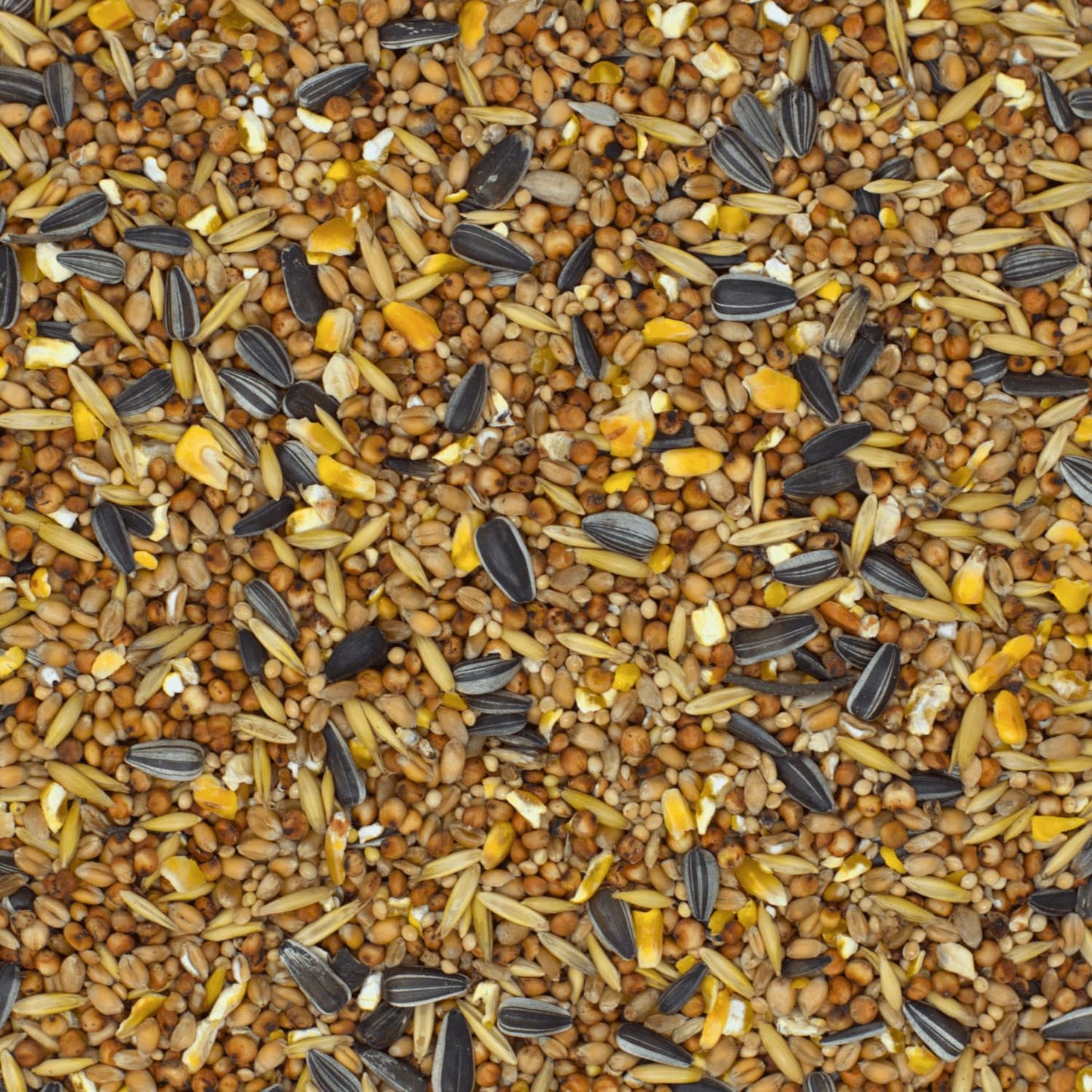 Agricultural area bird feed wild birds all year round 20kg - Wild bird feed 20kg with high-quality grain mix for all birds - Fat feed with sunflower seeds - Dust-free & without additives.