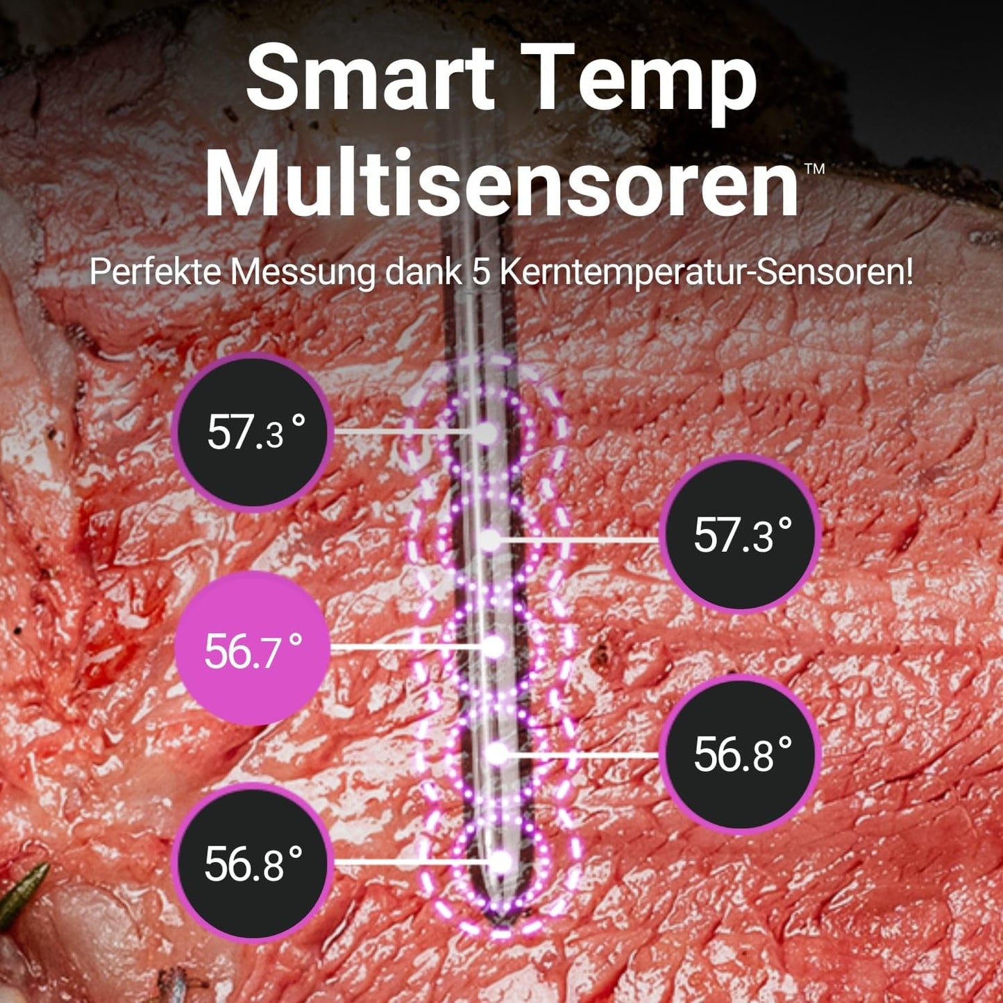 MEATER Pro / 2 Plus: The Next Generation Smart Meat Thermometer | Heat-resistant up to 550°C | Long-range, 100% waterproof, Multi-sensor Technology | Kitchen, BBQ, and Grill