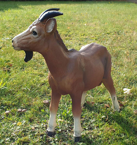 Specialty store Plus Goat Capricorn Billy Goat Decor Figure Goat Franz Animal Figure Garden Decoration