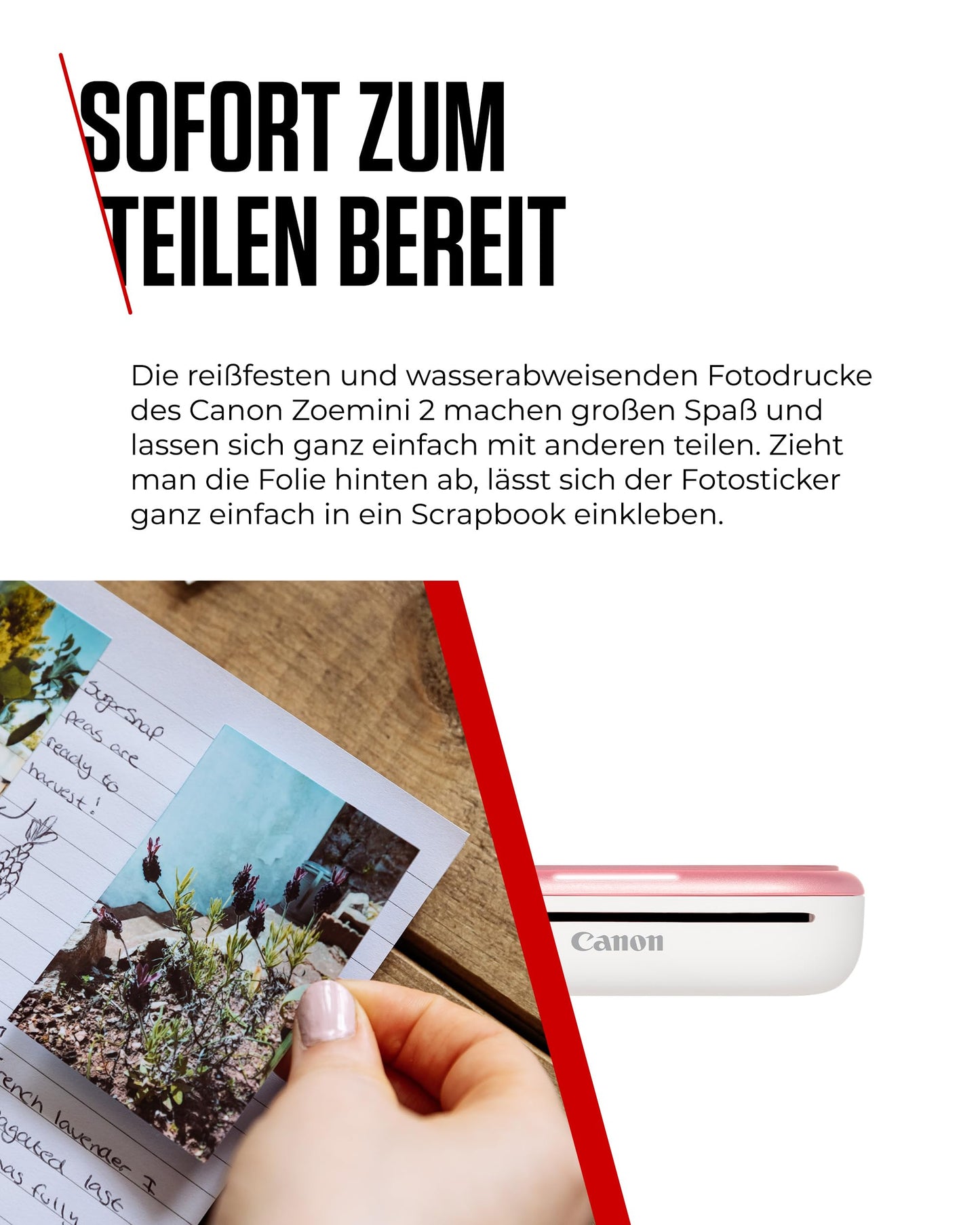 Canon Zoemini 2 Printer Set: Create and print memories anywhere - Compact, portable photo printer - Bluetooth 5.0 - Fast USB-C charging on the go (Rose Gold)