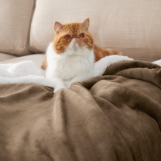 BEDSURE Sherpa Fleece Blanket - Warm Cozy Sofa Throw Blanket, Thick Couch Blanket, Plush Living Room Blanket for Couch, Camel, 220x240 cm, XXL