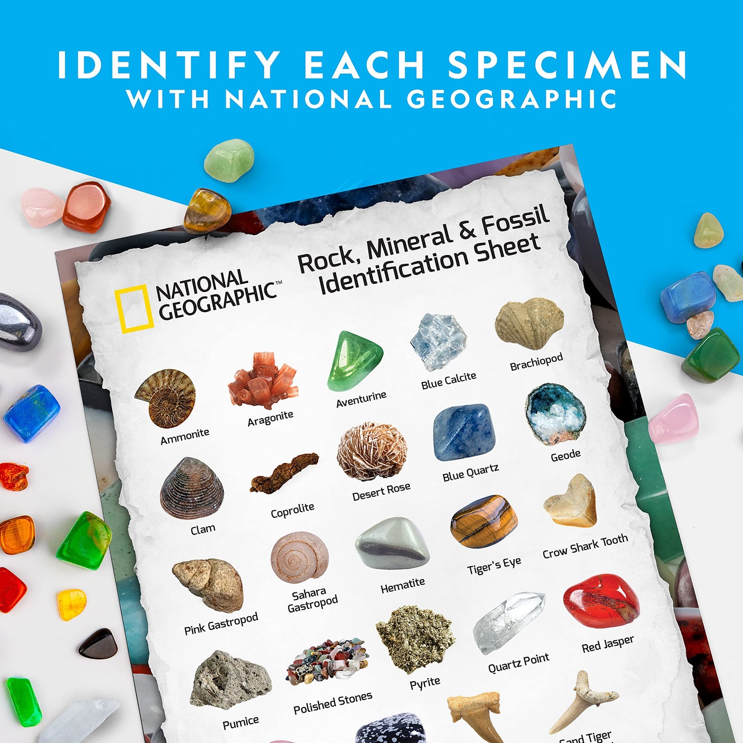 NATIONAL GEOGRAPHIC Gemstones and Fossils Set - 300-piece set with geodes and real fossils - Rose Quartz, Jasper, Aventurine - Many more crystals and gemstones for kids.