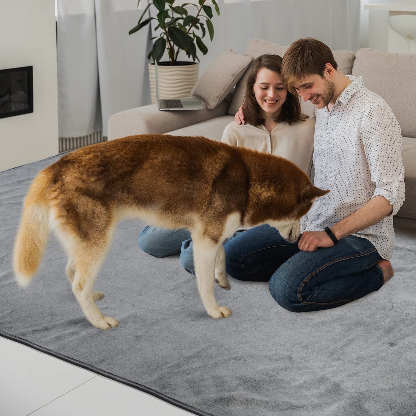 2-Pack Puppy Training Pads, Washable, 104*104cm, Quick Absorbent Pet Hygiene Mat, Reusable Training Pads for Puppies, Large, Senior, or Incontinent Dogs, Gray.