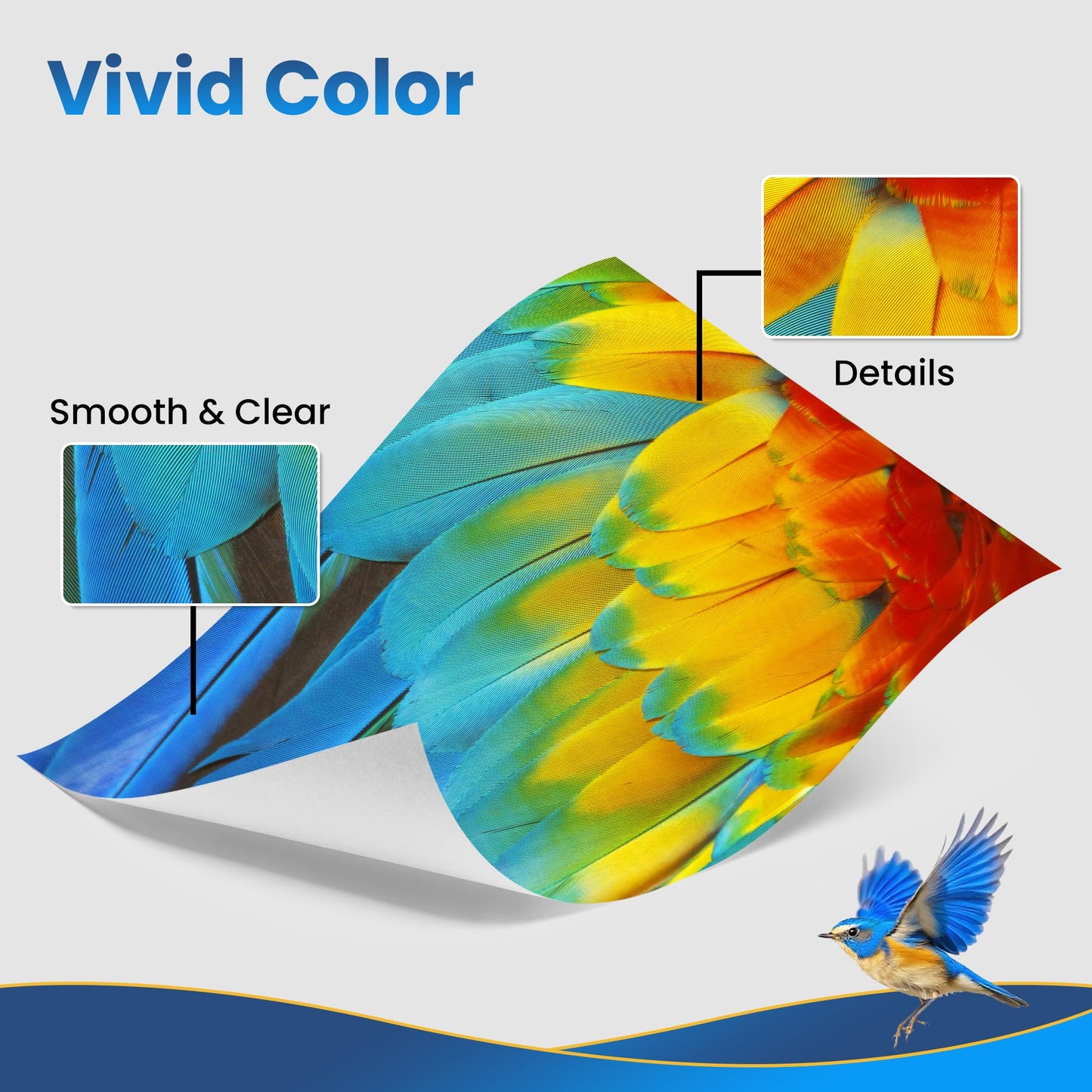Jhaan TN-243CMYK compatible toner for Brother MFC-L3750CDW, DCP-L3550CDW, MFC-L3770CDW, HL-L3210CW, HL-L3230CDW, MFC-L3710CW. TN 243CMKY TN247 TN-247 TN-243 (4-pack) for Brother printers.