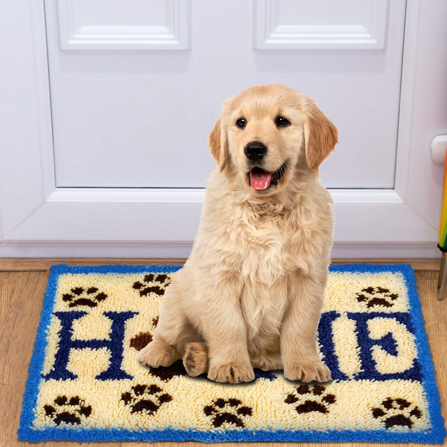 ROCKY&CHAO latch hook rug DIY kit for kids and adults (Home) 60*40cm.