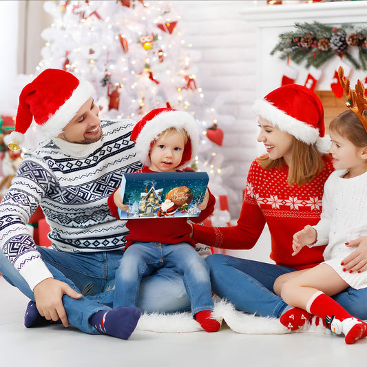 Advent calendar 2024 puzzle, 24 day Christmas countdown calendar puzzle with metal brain teasers for kids and adults challenge (plastic)