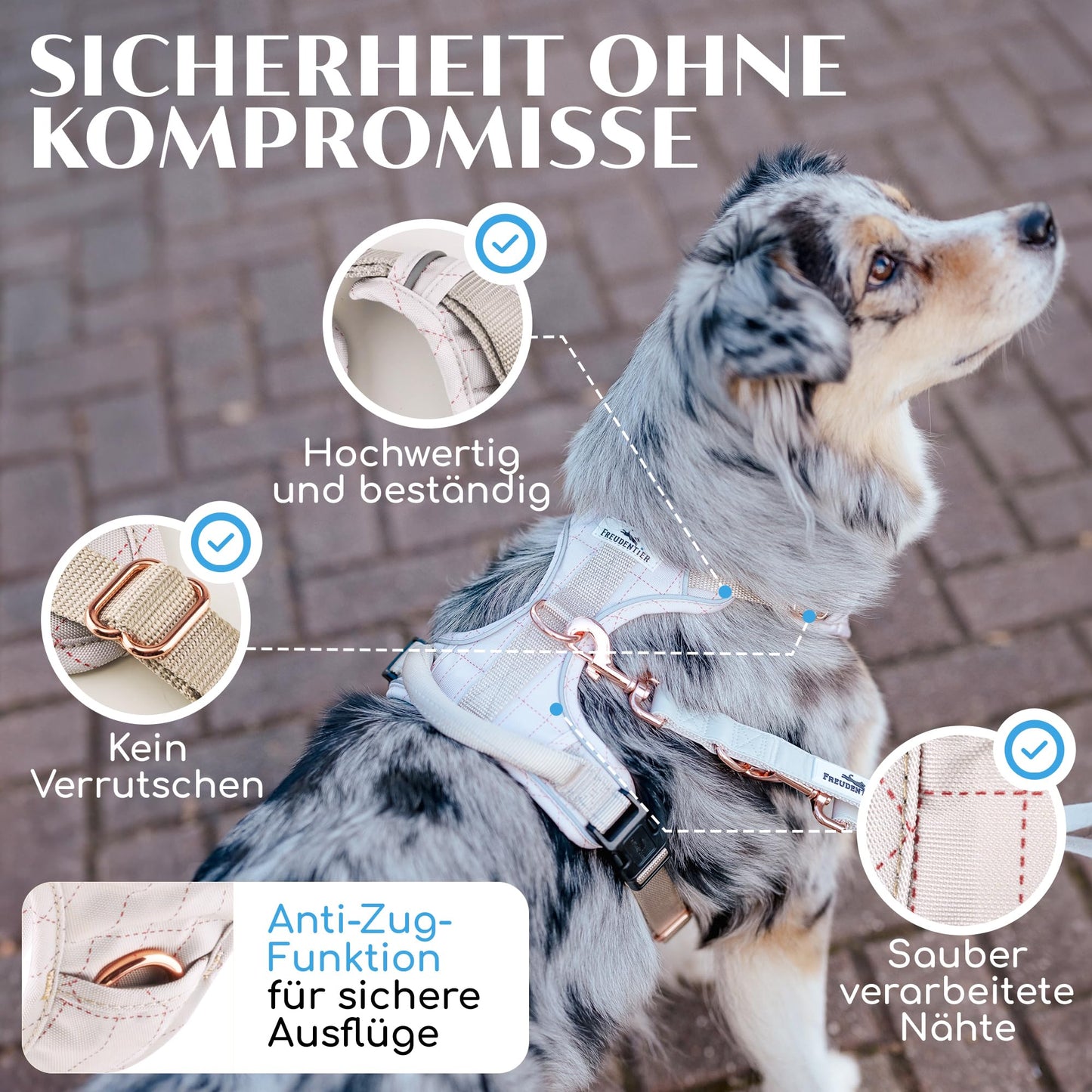 Joyful Pet Dog Harness with Handle, Breathable Padded - Secure Fit & Maximum Safety - Anti-Pull Chest Harness Small, Medium & Large Dogs - Small Dog Harness (S)