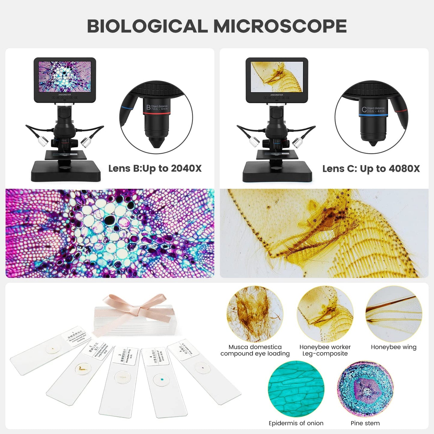 Andonstar AD246S-P HDMI digital microscope with 7-inch screen, 4000 x 2160P UHD video recording, 3 lens for coin errors, biological microscope kit for adults.