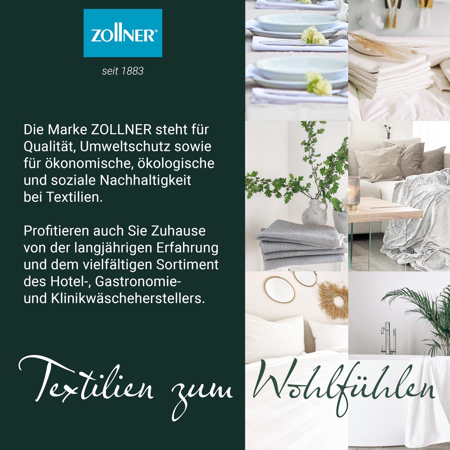 ZOLLNER 5-pack of cotton dish towels, 50x70 cm - absorbent and durable kitchen towels - machine washable up to 60°C - striped in light green - commercial quality - Oeko Tex® certified