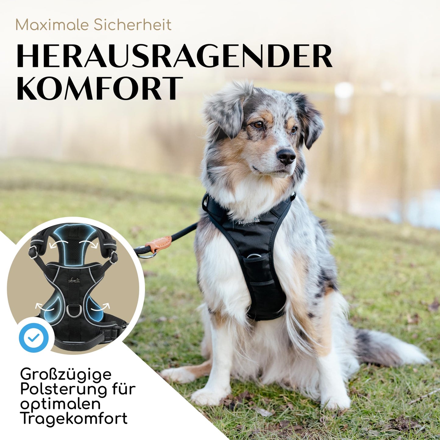 Joyful Animal Dog Harness with Handle, Breathable Padded - Secure Fit & Maximum Safety - No-Pull Dog Harness for Small, Medium & Large Dogs - Dog Harness (Black, L)