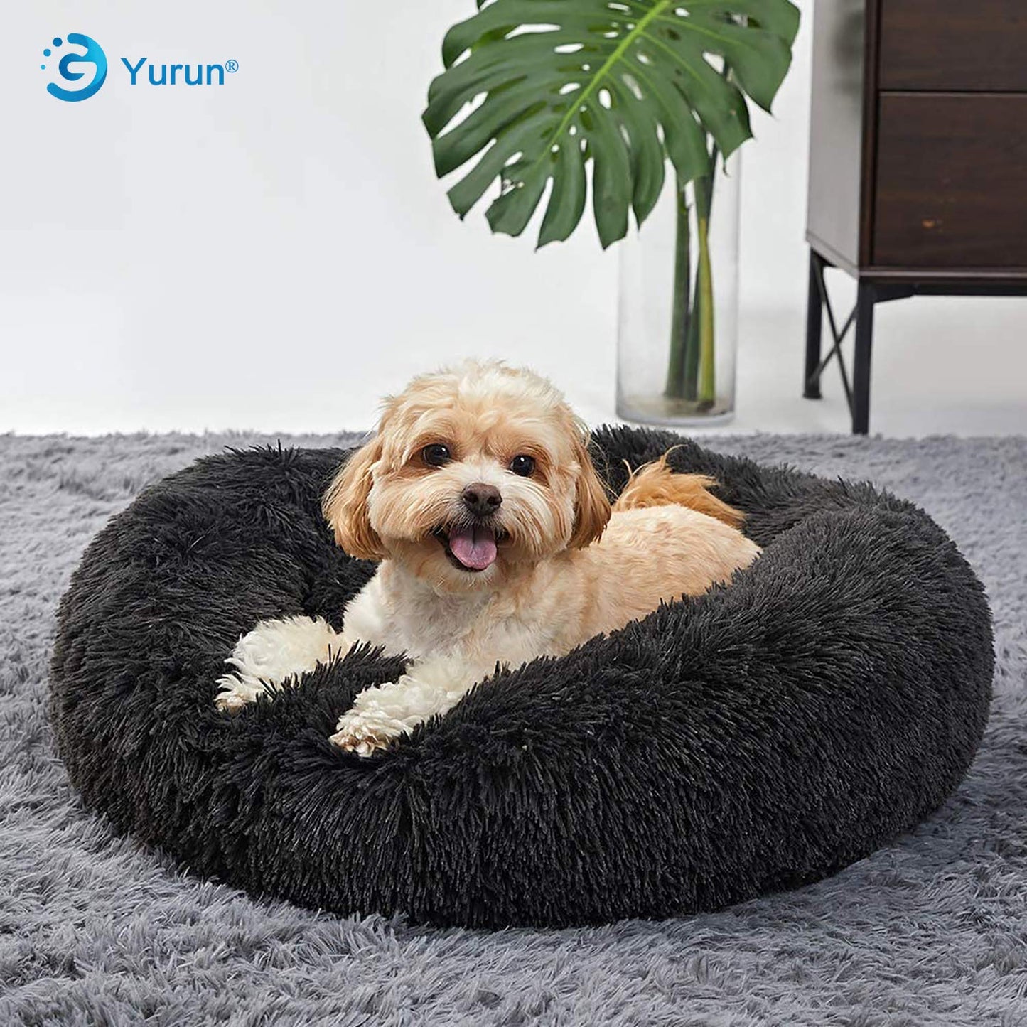Yurun Pet Bed Donut, Pet Bed for Cats and Dogs Round Plush Dog Bed Cat Bed in Doughnut Shape Washable, Self-Warming and Cozy for Medium-sized Dogs - Dark Gray 100x100x20cm