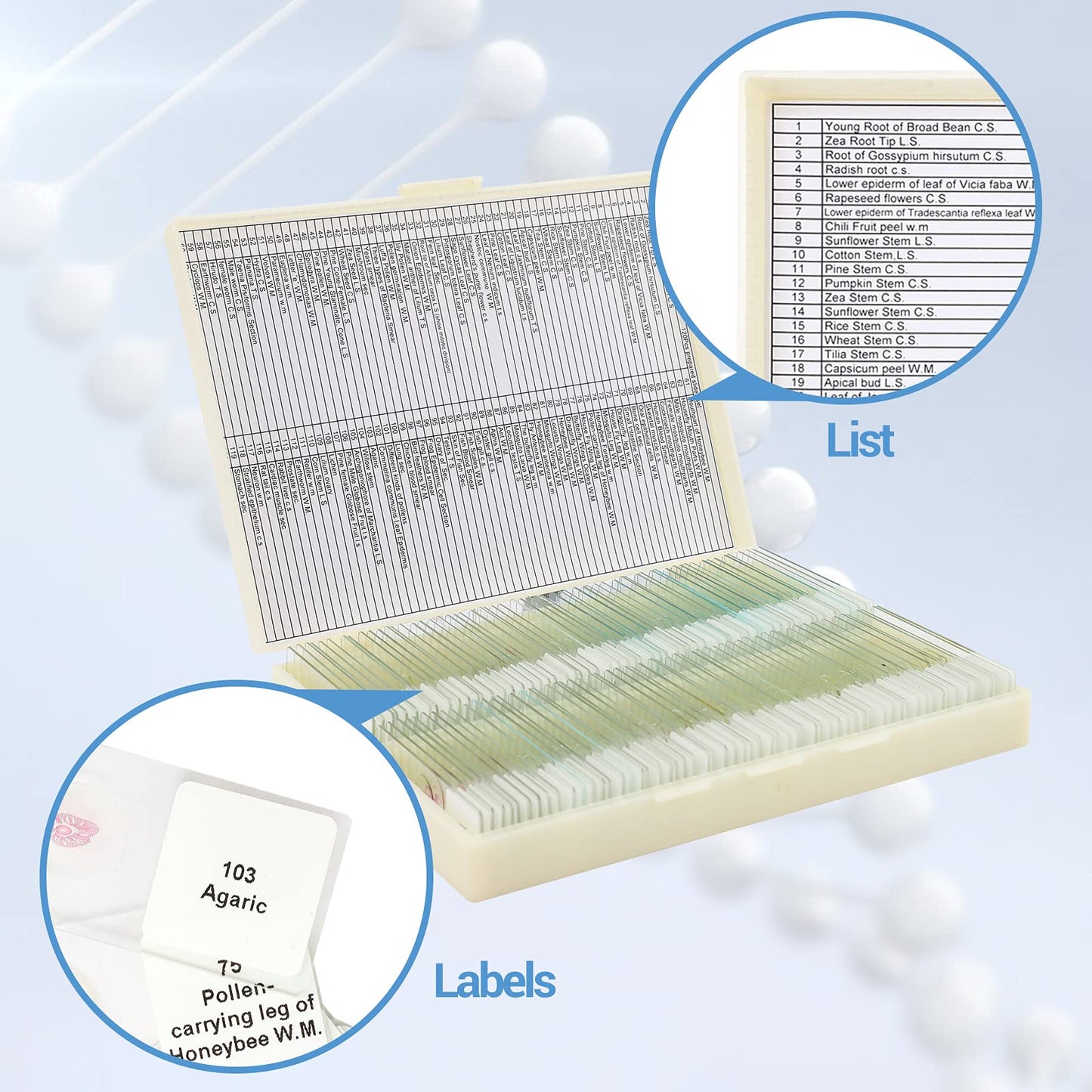 120 microscope slides with biological samples, insects, plants, and human cells for laboratory biology and science study.