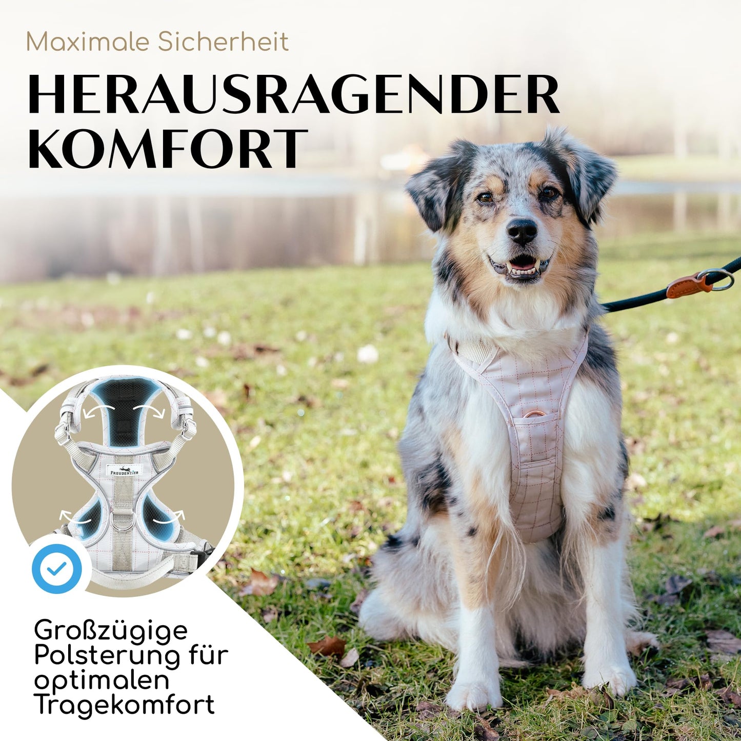 Joyful Pet Dog Harness with Handle, Breathable Padded - Secure Fit & Maximum Safety - Anti-Pull Chest Harness Small, Medium & Large Dogs - Small Dog Harness (S)