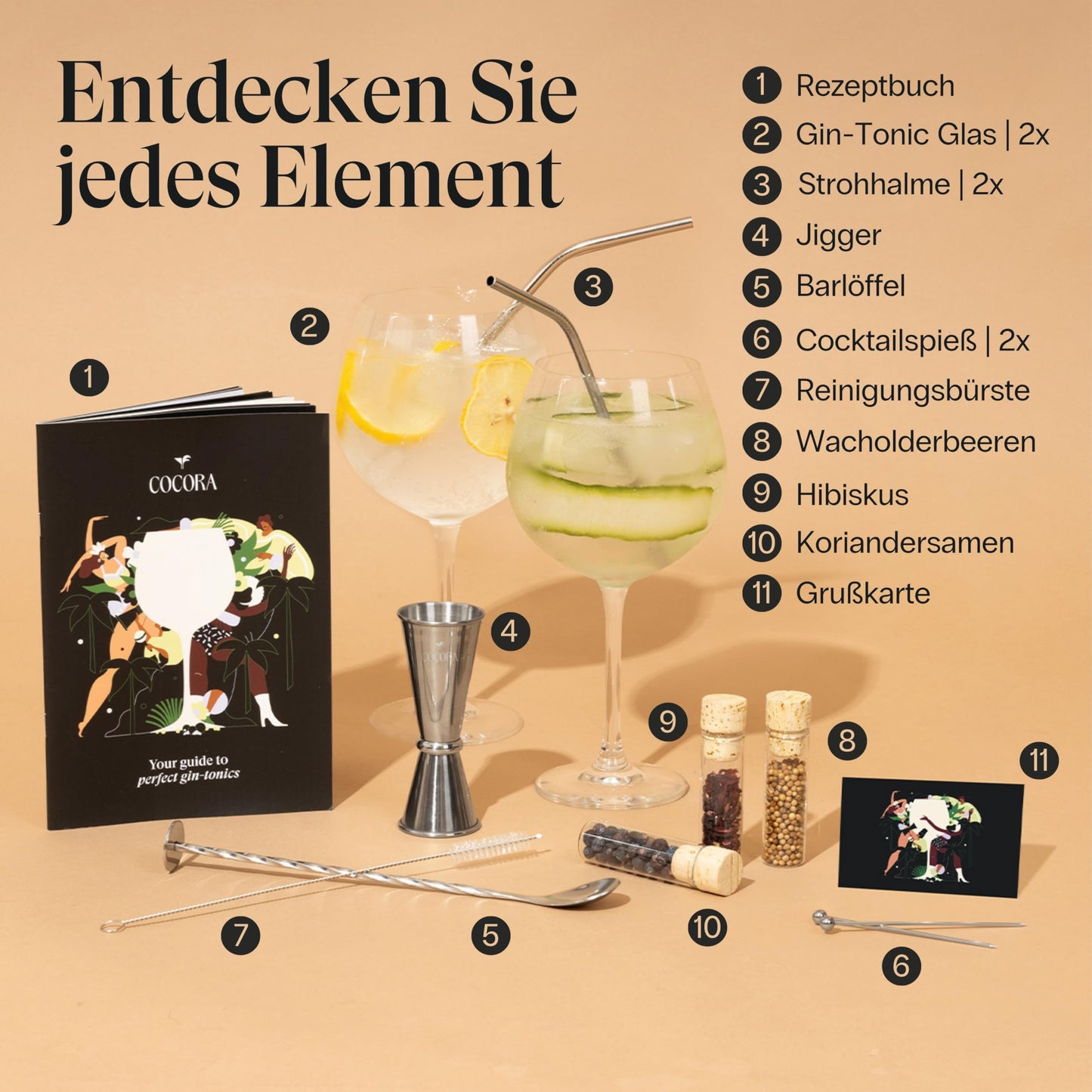 Cocora Gin-Tonic gift set | 11-piece cocktail set | Gin accessories | Gin tonic cocktail glasses | Spices (Silver)