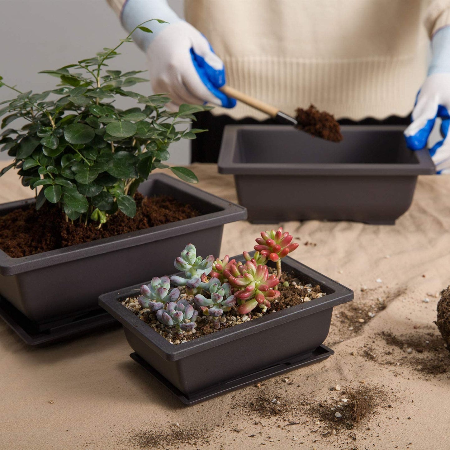 Mollyfox Bonsai Training Pots, 6-piece Bonsai Tray Large with Trays, Plastic Bonsai Planting Pot for Garden, Yard, Office, Living Room, Balcony, and more, 23x17x8cm