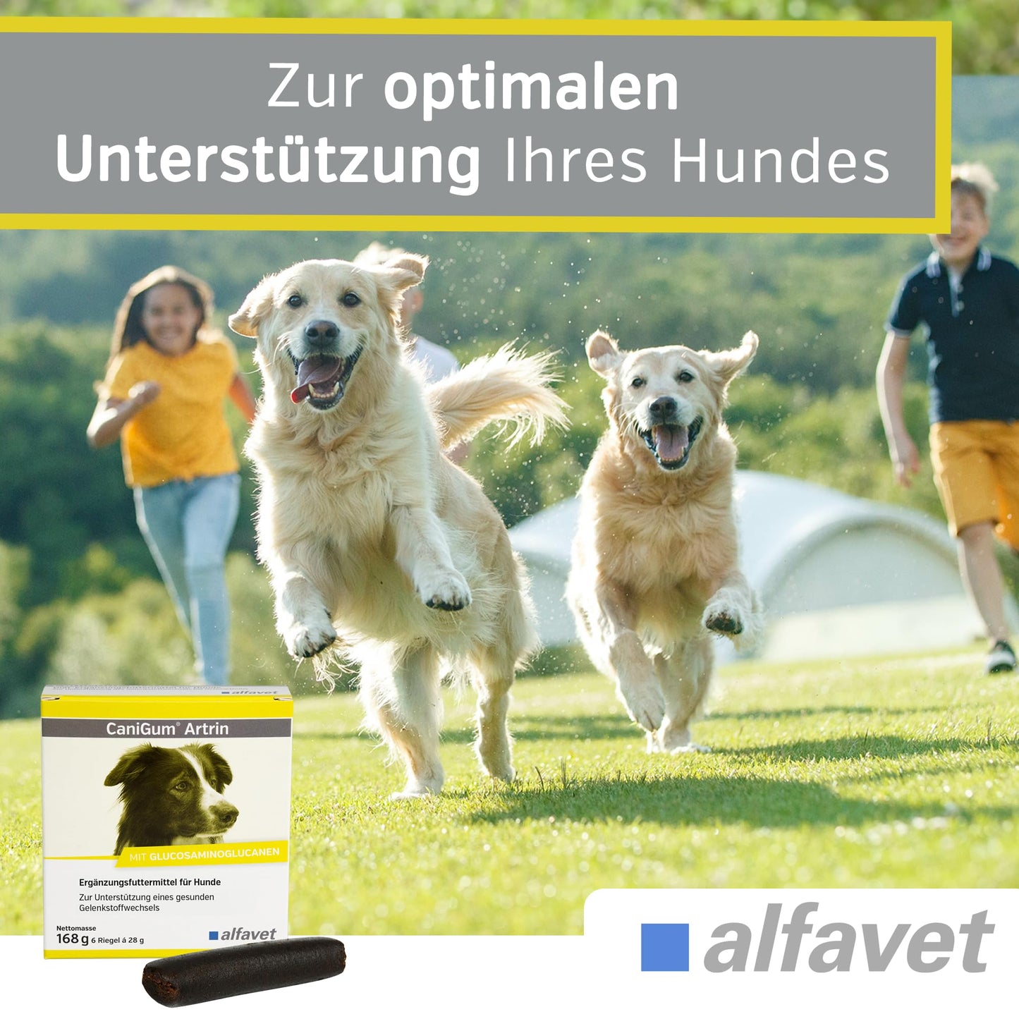 alfavet CaniGum Artrin, double pack, supplementary food for dogs supports joints, joint metabolism, for osteoarthritis, chew sticks 2 x 168g, portionable.