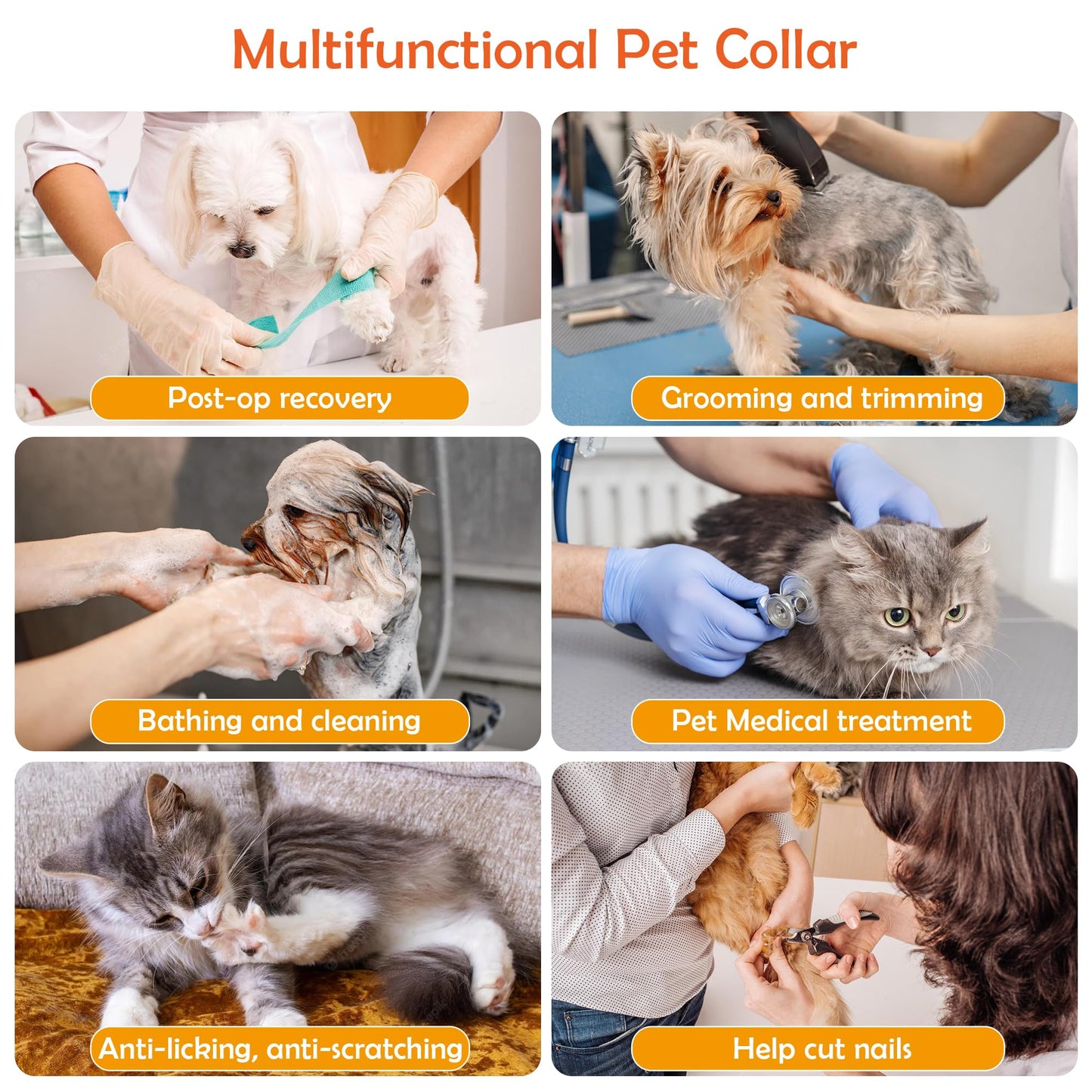 ALLSOPETS Cat Recovery Collar - Adjustable Cone Collar for Pets Soft and Comfortable, Waterproof and Lightweight - Ideal for kittens, cats, small dogs, and rabbits. Purple.