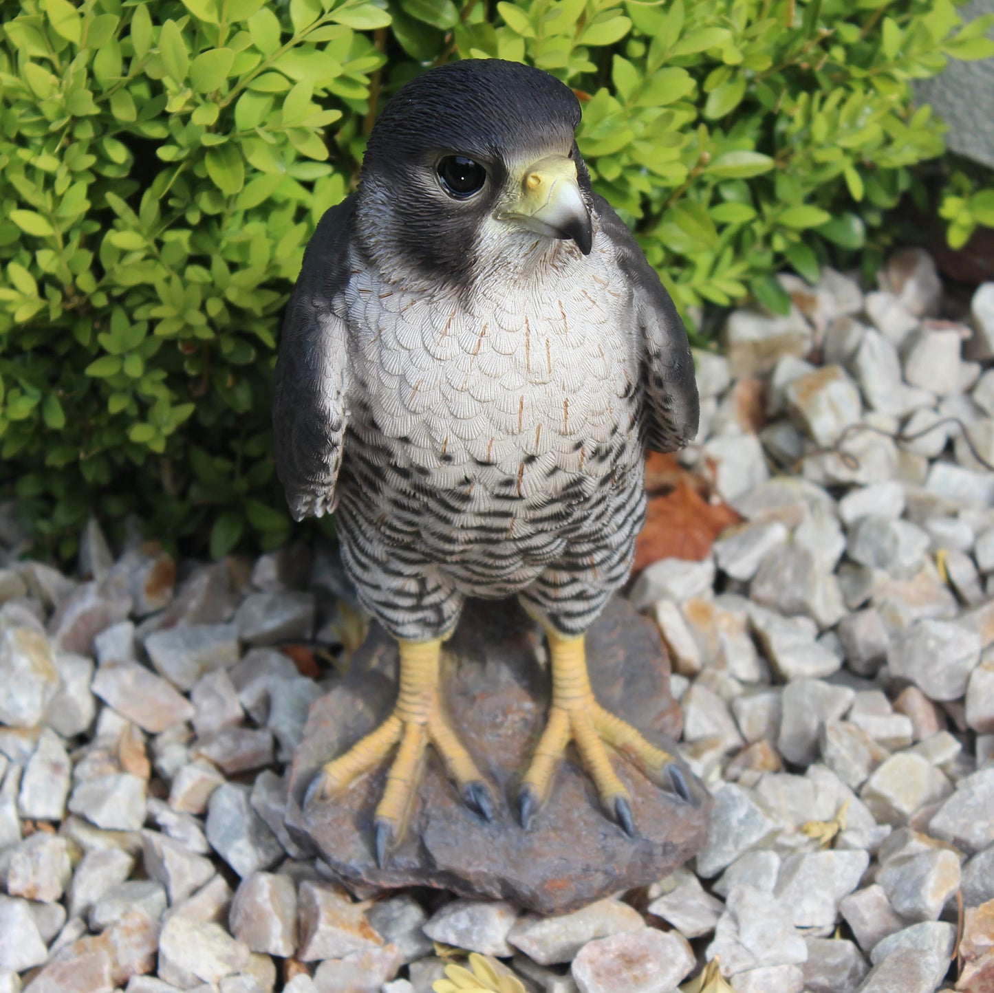 Vivid Arts XRL-PFAL-B Peregrine Falcon, resin garden decoration