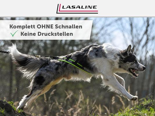 LASALINE Dog Pulling Harness X Back for Canicross, Dog Sports, Dogscooter, Bikejoring, Sledding in Black.