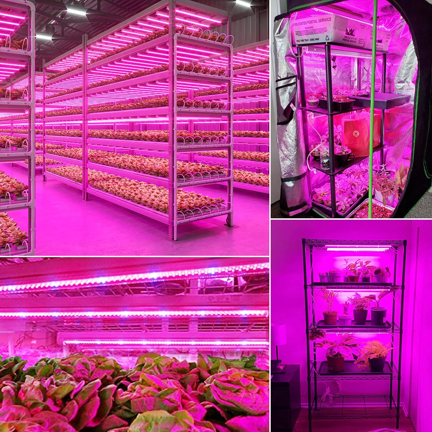 Wolezek T8 plant lamp, 4 pack full spectrum LED plant light for indoor plants, 6500K 660nm 450nm red blue white growth lights for plants, suitable for indoor greenhouse, garden.