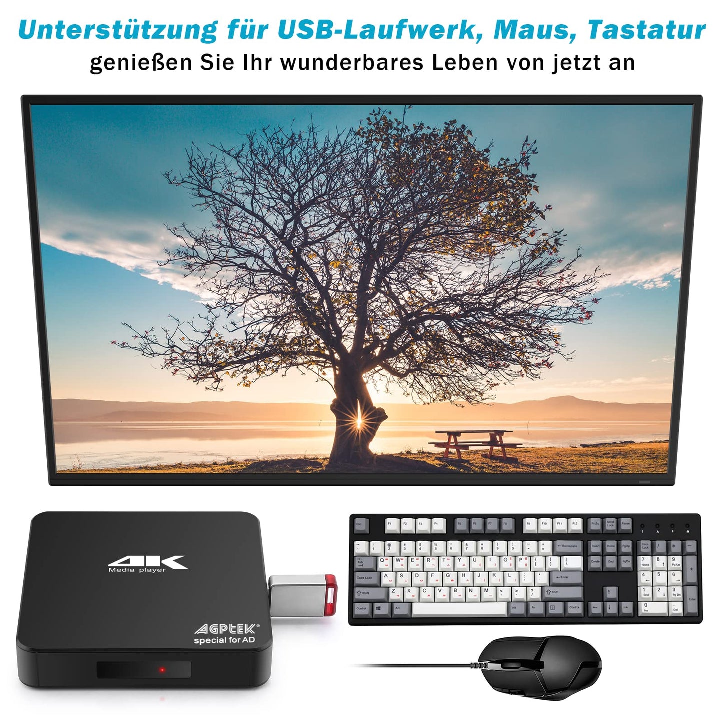 AGPTEK 4K@60hz MP4 Media Player supports 8TB HDD/256G USB Drive/SD Card with HDMI/AV Output for HDTV/PPT MKV AVI MP4 H.265. Features include ad insertion, subtitles/timing, and keyboard control.