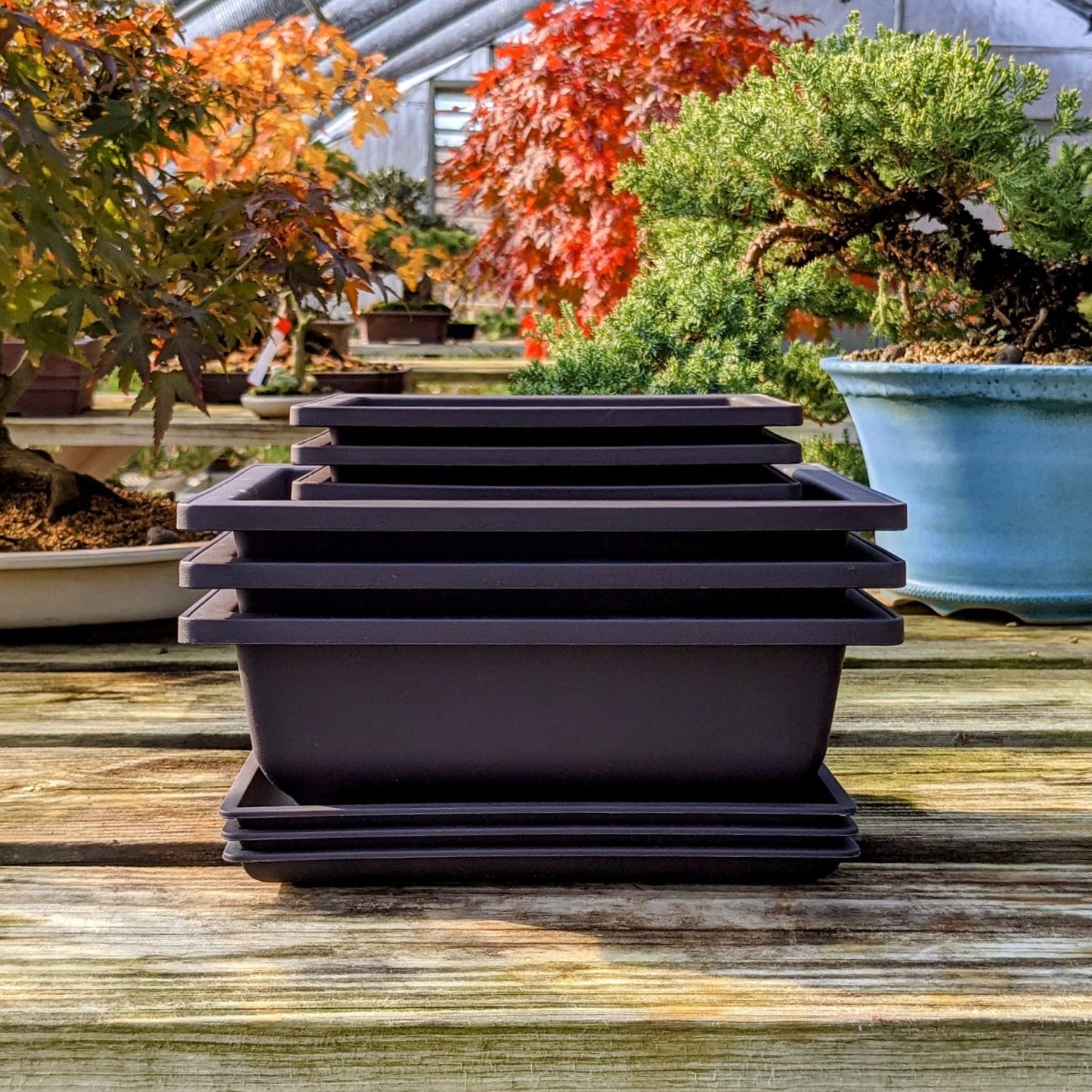Mollyfox Bonsai Training Pots, 6-piece Bonsai Tray Large with Trays, Plastic Bonsai Planting Pot for Garden, Yard, Office, Living Room, Balcony, and more, 23x17x8cm
