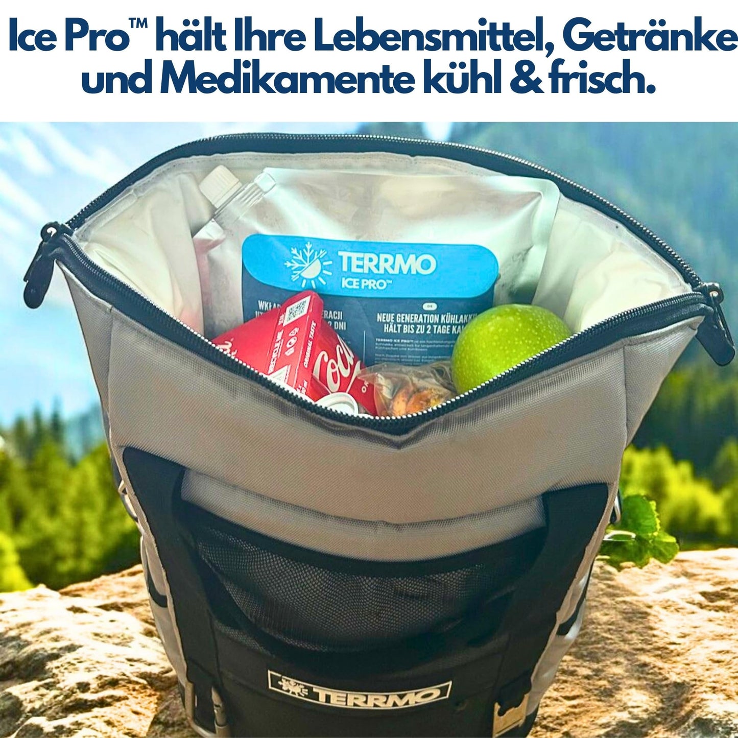 TERRMO Ice Pro™ Small Ice Packs for Cooler Bag, Lunch Box, Cooler, Medications | Extended Cooling Time | Reusable, High Performance | Ice Packs, cool pack 350ml & 19x16cm (4 Pack)
