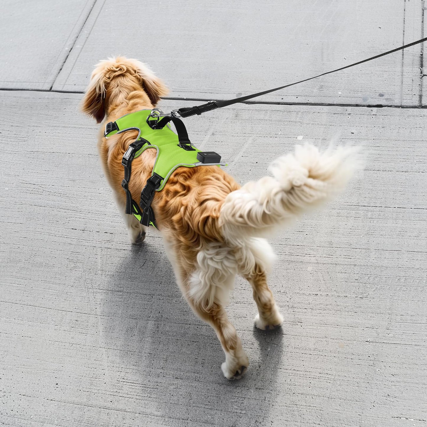 Jewyow Dog Harness Glowing, Rechargeable LED Dog Harness, LED Harness for Dogs with Soft Handle, 3 Adjustable Modes, Waterproof for Medium, Large Dogs, Green-XL